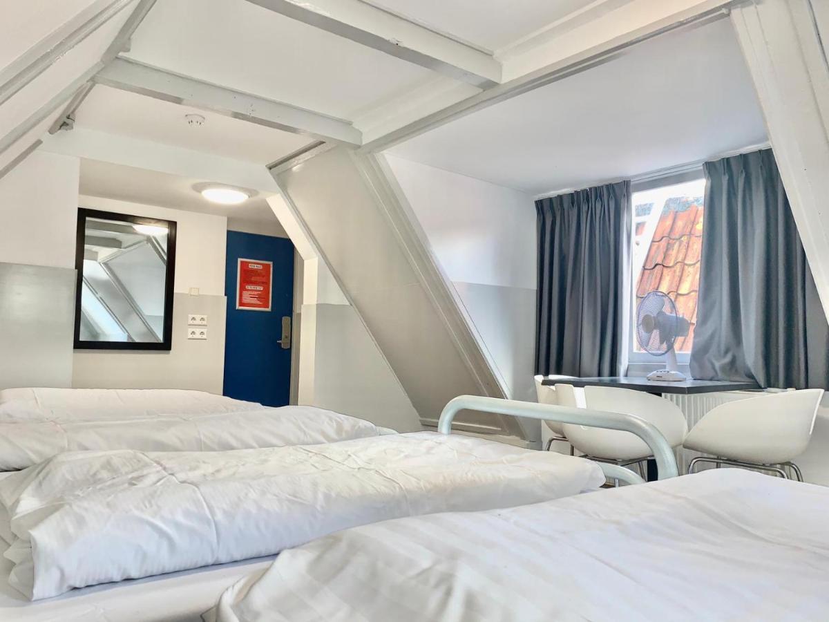 The White Tulip Hostal *